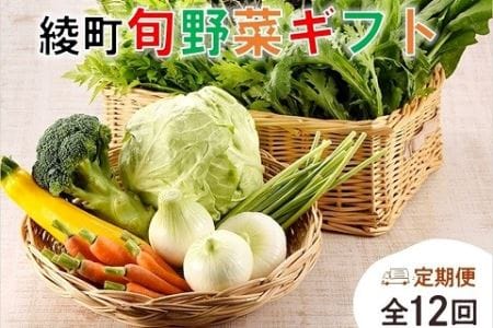 綾町旬野菜ギフト【12か月定期便】（04-03）