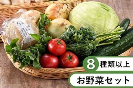 11月上旬受付再開予定 本日のお野菜セット(Sサイズ)（53-01）