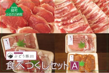 綾ぶどう豚やわらか味噌 食べつくし5種セットA(36-208)