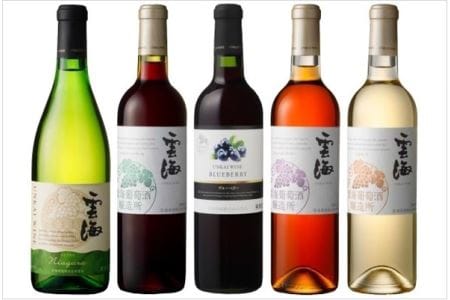 雲海ワインセット5種 国産100% 赤 白 飲み比べ (02-107)