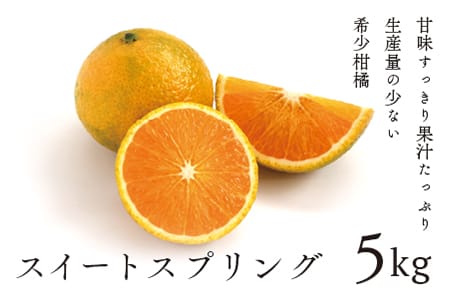希少柑橘「スイートスプリング」5kg[先行受付](14-01)