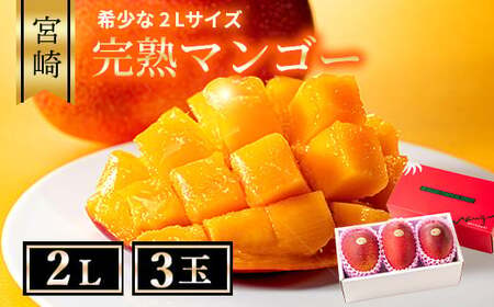 完熟マンゴー ２L×３玉（化粧箱）【宮崎 高級 果物 フルーツ 濃厚 ギフト のし 贈答 先行受付 送料無料】【JA綾町】_A0114-236