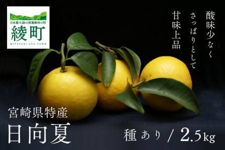 初春の旬「日向夏」種あり2.5kg【先行受付】（14-54）