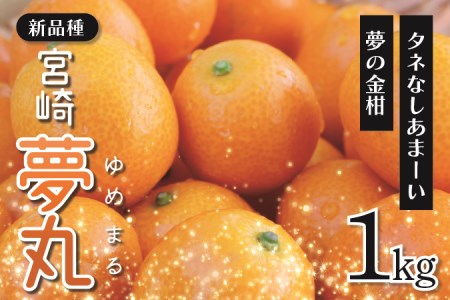 きんかん「宮崎夢丸」1kg