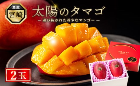 太陽のタマゴ 2玉 約1kg 完熟 マンゴー 濃厚 宮崎 高級 果物 フルーツ 贈答 ギフト 先行受付 送料無料(14-67)