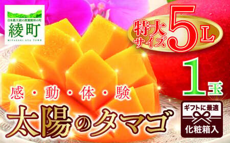 【先行予約/数量限定】完熟マンゴー「太陽のタマゴ」５L×１玉 濃厚 宮崎県産 高級 果物 フルーツ 贈答 ギフト 太陽のタマゴ 送料無料【JA綾町】_A0114-2321