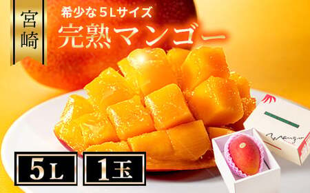 【先行予約/数量限定】完熟マンゴー５L×１玉【宮崎県産 濃厚 高級 果物 フルーツ 贈答 ギフト 完熟マンゴー マンゴー 送料無料】