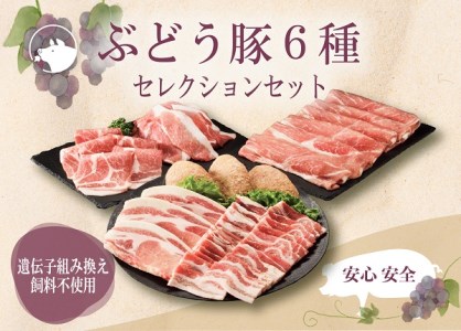 綾ぶどう豚セレクション6種セット1.7kg 小分け(22-33)