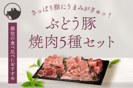 綾ぶどう豚焼肉5種食べ比べセット(22-25)