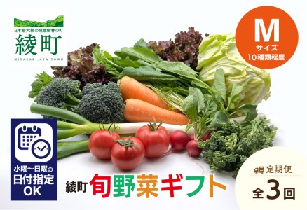 綾町旬野菜ギフト Mサイズ[全3回定期便](04-70) 無農薬 減農薬 栽培期間中 新鮮 産地直送