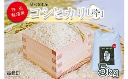 [令和5年度 特別栽培米「粋」コシヒカリ 5kg] ※入金確認後、翌月末迄に順次出荷します。[c854_kh_x4] 米 こしひかり