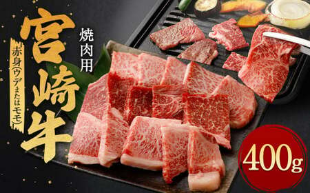 [宮崎牛 赤身 焼肉 400g]翌月末迄に順次出荷[c1186_ya]