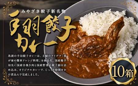 〈 みやざき餃子新名物 手羽餃子カレー 10箱 〉２～３週間以内に順次出荷 カレー 餃子 ギョウザ ギョーザ 手羽餃子 レトルト 常温保存 餃子の馬渡【c1261_mw】