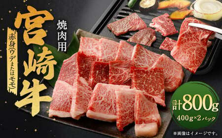 [宮崎牛赤身焼肉 800g]翌月末迄に順次出荷[c1336_ya] 宮崎牛 牛肉 黒毛和牛 赤身 焼肉 極上 肉質 宮崎県産