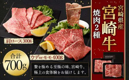 [宮崎牛 焼肉 2種 (赤身霜降り)]1か月以内に順次出荷[c1194_mc] 計約700g 肩ロース ウデorモモ