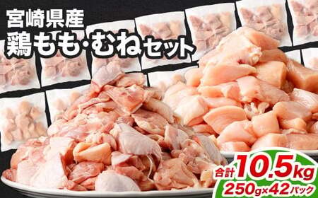 {Eނ˃Zbg e250g×21pbN v10.5kgɏo yc1472_kfz {   l pbN Ⓚ