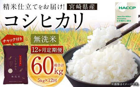 y12ցzߘa7NY {茧YRVqJ iāj 5kg `bNtđ 12ց2025N9{ȍ~ 1ڔi12͒{jyc1446_kuz Ђ RVqJ 