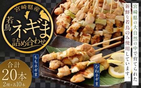 [宮崎県産若鳥ネギま詰め合わせ 20本]翌月末迄に順次出荷[c1480_kw] 焼き鳥 焼鳥 鶏 串焼き 鶏串 盛合わせ 若鳥 手刺し もも肉 ムネ肉 ねぎま ネギま 2種 各10本 冷凍 国産 宮崎県 高鍋町