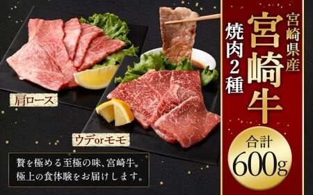 [宮崎牛焼肉2種(赤身霜降り) 計600g]2026年2月上旬より順次出荷 300g×2パック お肉 肉 宮崎牛 牛肉 赤身 肩ロース ロース モモ ウデ 焼き肉 焼肉 BBQ バーベキュー 霜降り 冷凍 宮崎県 高鍋町[c1535_mc]