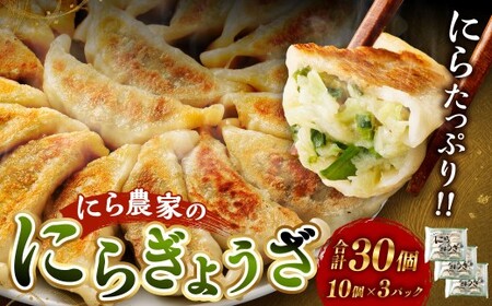 にら農家 ぎょうざ  国産 肉 小分け 惣菜 人気 30個(10個×3パック)