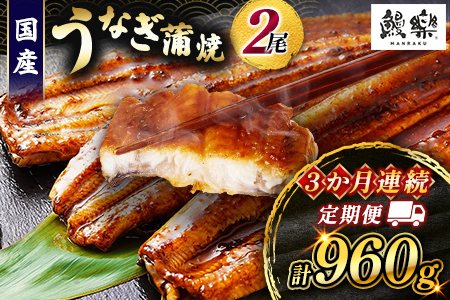 うなぎ 蒲焼 定期便 [計3回] 鰻 2尾 (計960g) 国産 ウナギ 3か月 連続 人気 ギフト 贈答品 おすすめ 小分け 宮崎県 高鍋町 名物[MR-g-001]