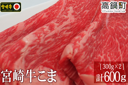 [宮崎牛こま600g(300g×2)]3か月以内に順次出荷[c701_tf_x2]