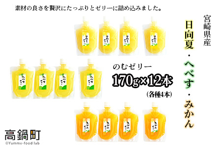 [宮崎県産 日向夏・へべす・みかんの のむゼリー各170g 合計12本]翌月末迄に順次出荷[c342_ht_x3]