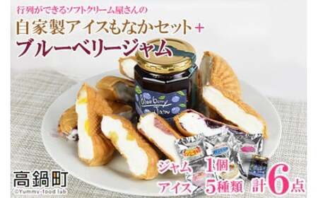 [自家製アイスクリームとブルーベリージャムのセット]2か月以内に順次出荷[c593_sn_x3] アイス ジャム セット ブルーベリー