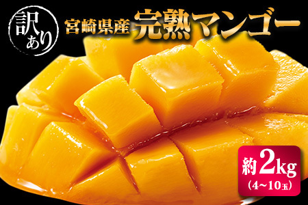 「訳あり」完熟マンゴー 約2kg(4〜10玉)宮崎県産 果物 フルーツ 先行予約[C400-25]