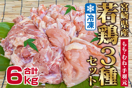 「宮崎県産若鶏3種」モモ・ムネ・手羽元6kgセット【B380】