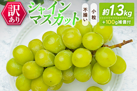 訳あり［不揃い・小粒］シャインマスカット 4パック 約1.3kg+100g補償付 ご家庭用 宮崎県新富町産 製菓用【B638-25】