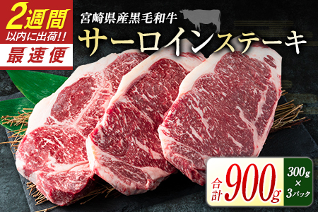 {茧YјaVy炿GyuGyuET[CXe[Li300g×3Pjv900g   {茧YyC319-24z