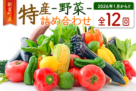[数量限定]新富町 特産 野菜 詰め合わせ 定期便 12か月コース 旬 やさい 国産 ≪2026年1月配送開始≫[G51-26]