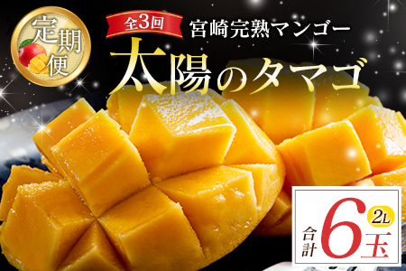 {Yuz̃^}S2L×2ʁv͂ցiS3jv6 Y Y ʕ t[c { YnyF145-26z