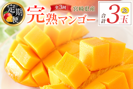 宮崎特産「完熟マンゴー2L×1玉」お届け定期便(全3回)計3玉 特産 国産 果物 フルーツ 旬 産地直送[E218-26]