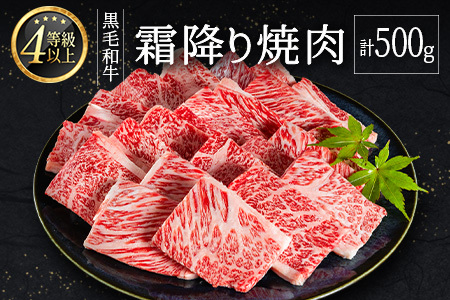 4ȏいјa ~ ē v500g  BBQ Y {茧YyB651-30z