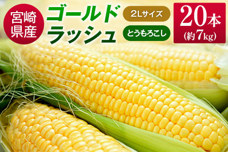 宮崎県産 ゴールドラッシュコーン 20本 約7kg とうもろこし 野菜 旬 国産[B426-25]