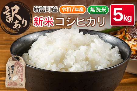 [訳あり][令和7年産 新米]コシヒカリ 5kg 無洗米 宮崎県産 新富町産 早期米 早場米 夏の新米 乾式[B679]