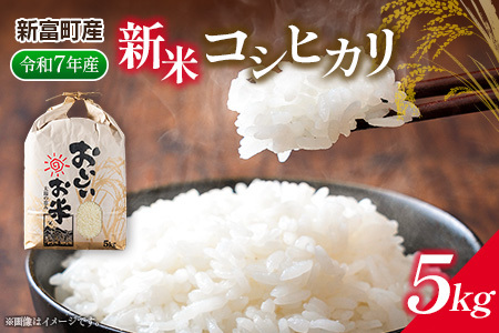 新米コシヒカリ5kg ※令和7年産 宮崎県新富町産[B674]