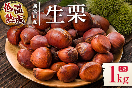 ＜期間限定＞国産 低温熟成栗（生栗）1kg 熟成宝珠栗 産地直送 宮崎県新富町産【B671】