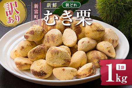 2026o!!󂠂聄Ԍ Y VNǂiނIj1kg Yn  I {茧VxYyB673-26z