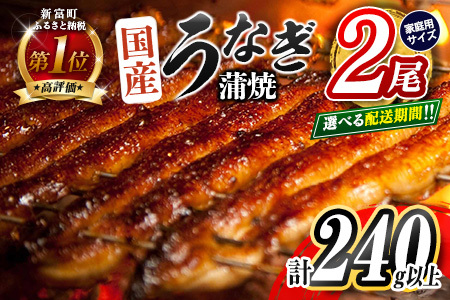 [2025年10月お届け]うなぎ 鰻楽 国産 蒲焼 ご家庭用 2尾 計240g以上(120g×2尾)おすすめ 冷凍 簡単調理 個包装 鰻 魚介[B666-2510]