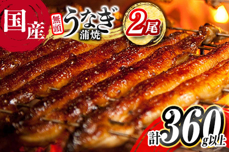 [2025年11月お届け]高評価!! うなぎ 鰻楽 国産 蒲焼 2尾 人気 無頭 計360g以上 おすすめ 冷凍 簡単調理 個包装 鰻 魚介 贈答品 ギフト 贈り物[B555-2511]