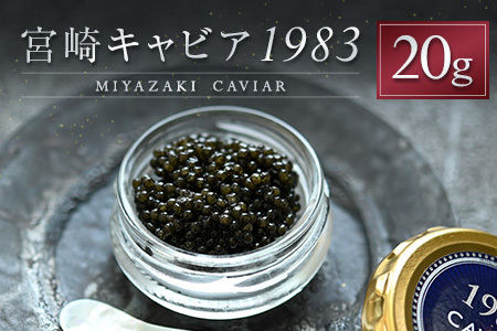 {LrA1983 v20g i   YyE247z