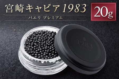 {LrA1983 oG v~A v20g i   YyE249z