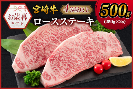 ΕΉ{苍 [XXe[L v500gi250g×2j4 Y lC ߁yN81z