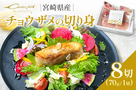 チョウザメ 切り身 70g×8P 魚