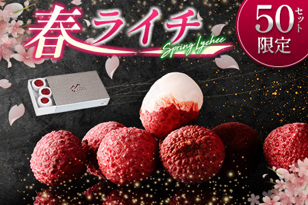 ライチ 4/20〜4/28 期間内出荷 モリノライチ 果物 フルーツ