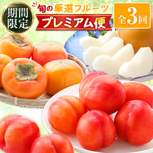 期間限定 フルーツ 旬の厳選 プレミアム便 全3回 プラム 梨 柿 果物