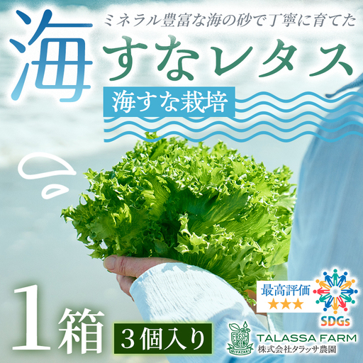 フリルレタス「海すなレタス」3個入り×1箱[A344]